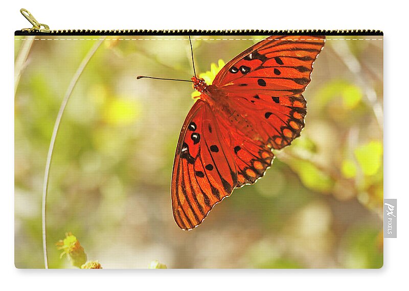 Gulf Fritillary Butterfly Zip Pouch featuring the photograph Butterfly Gulf Fritillary on Beach by Luana K Perez