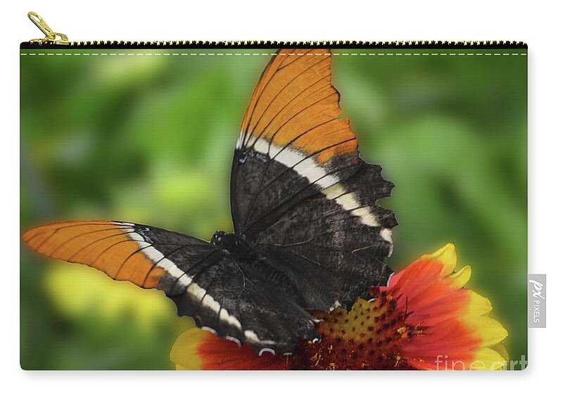 Flowers Zip Pouch featuring the photograph Butterfly in Brown by Cindy Manero