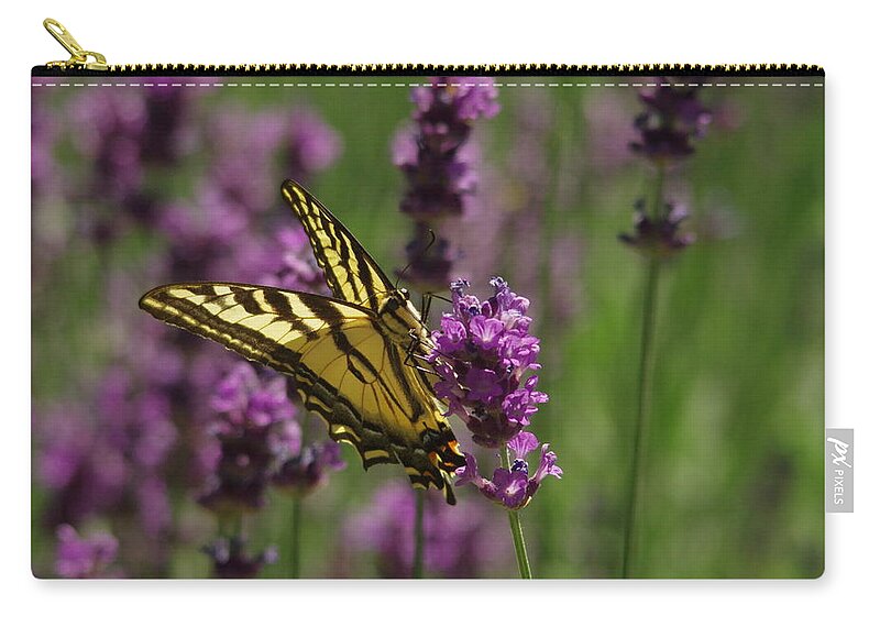 Butterfly Zip Pouch featuring the photograph Butterfly in lavender by Jeff Swan