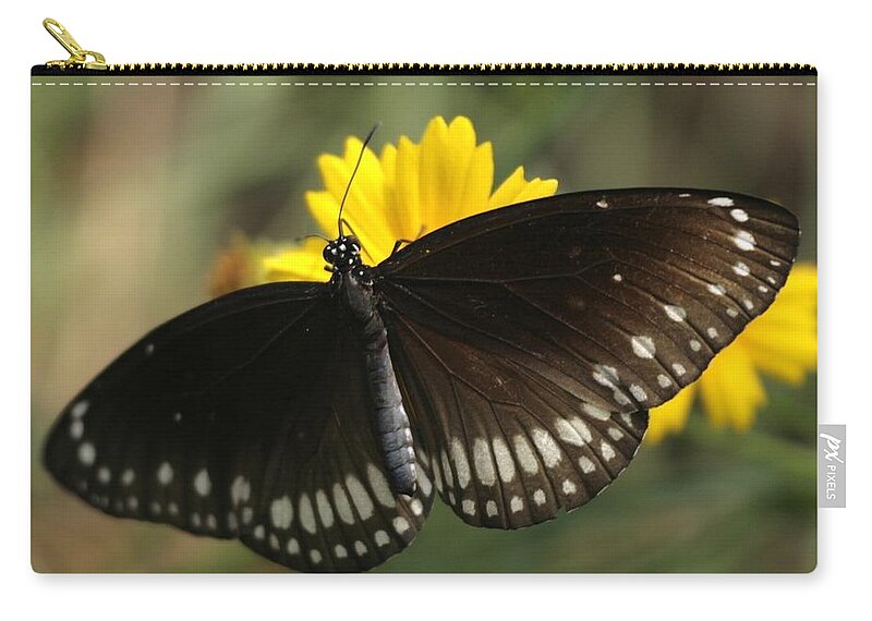Butterfly India Indian Black White Yellow Zip Pouch featuring the photograph Butterfly, India by Ian Sanders