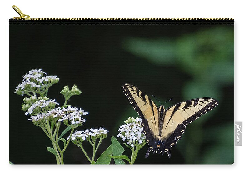 Wildlife Zip Pouch featuring the photograph Butterfly Landing by John Benedict