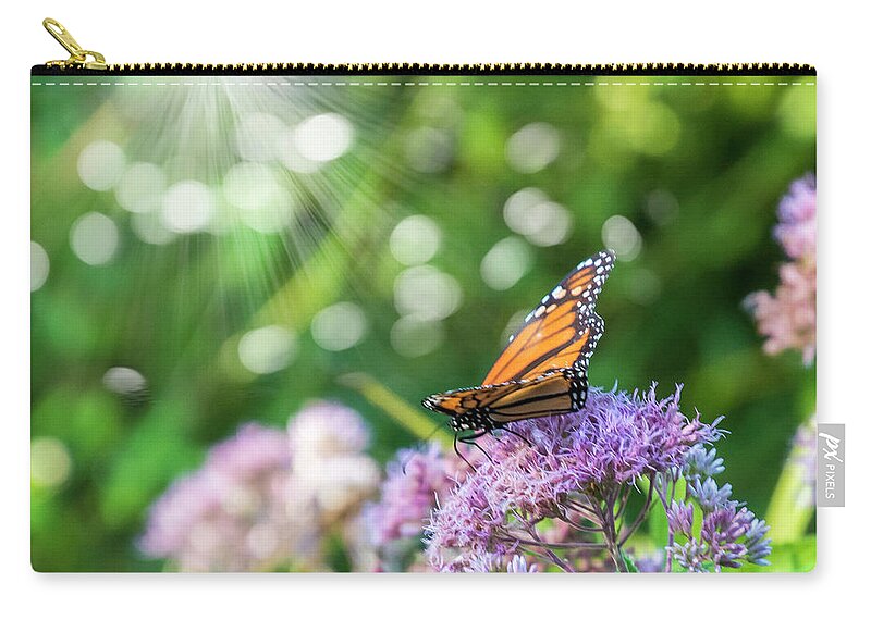 Butterfly Zip Pouch featuring the photograph Butterfly Light by Cathy Kovarik
