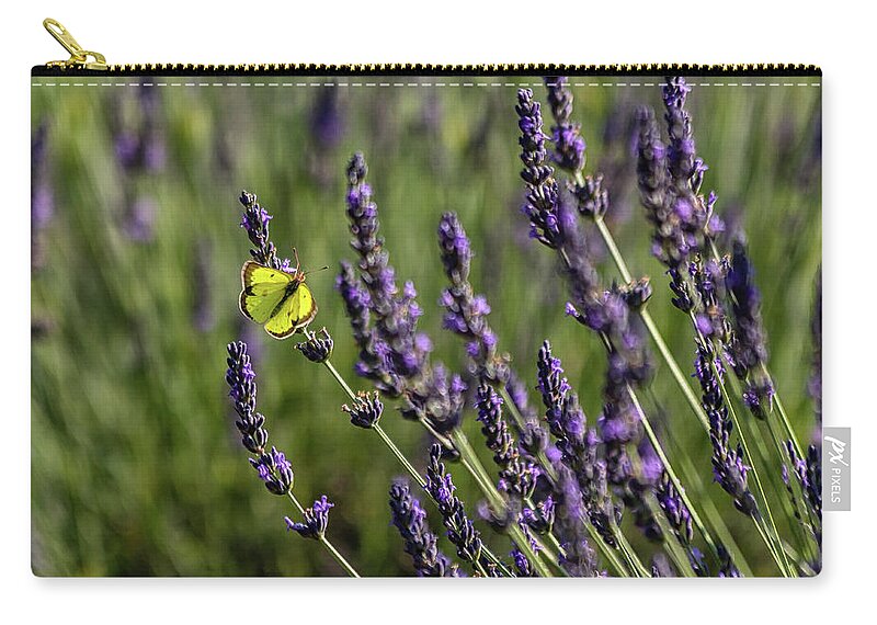 Lavender Zip Pouch featuring the photograph Butterfly n Lavender by Rod Best