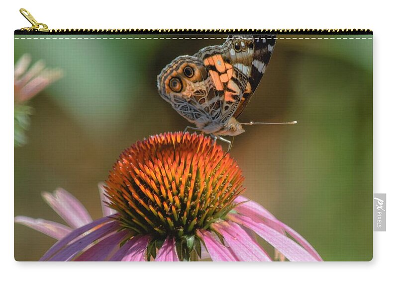 Butterfly Zip Pouch featuring the photograph Butterfly on Coneflower 2 by Mary Ann Artz