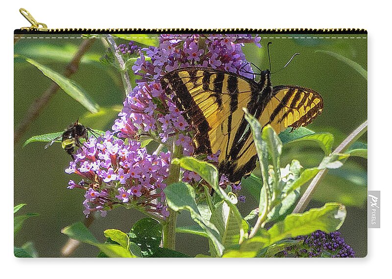 Butterfly Zip Pouch featuring the photograph Butterfly on Flower by Timothy Anable