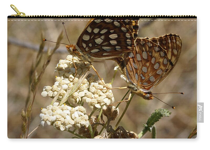 Butterfly Zip Pouch featuring the photograph Butterfly Photo #23 by Ben Upham III