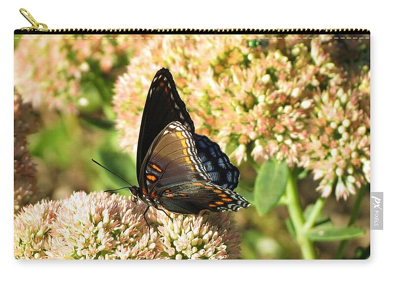 Butterfly Zip Pouch featuring the photograph Butterfly1 by Vijay Sharon Govender