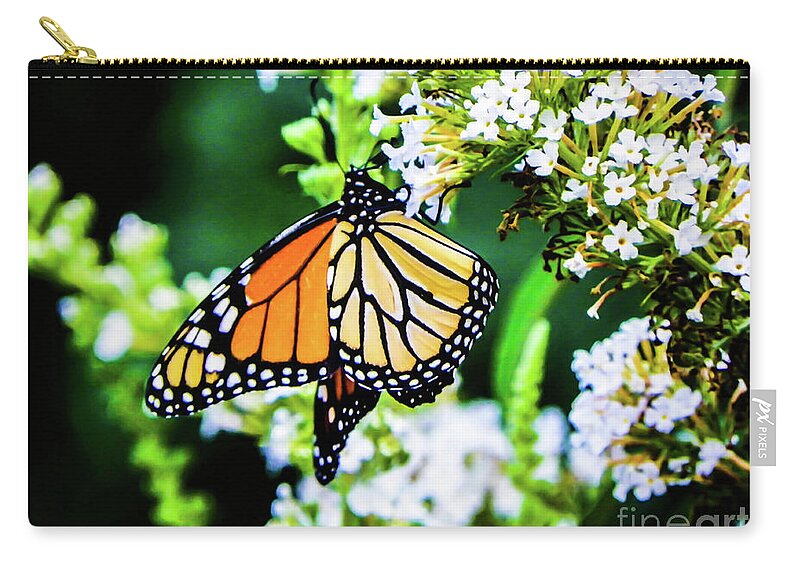 Butterfly Zip Pouch featuring the photograph Butterfly2 by Gerald Kloss