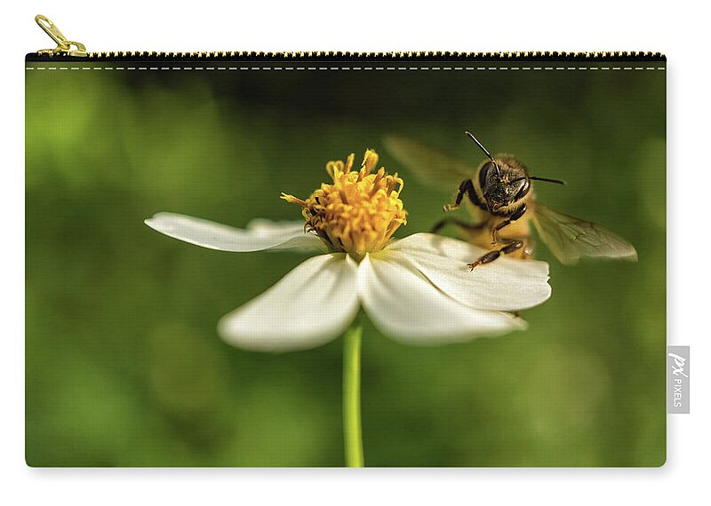 Flowers Zip Pouch featuring the photograph Buzz Off by Louise Lindsay