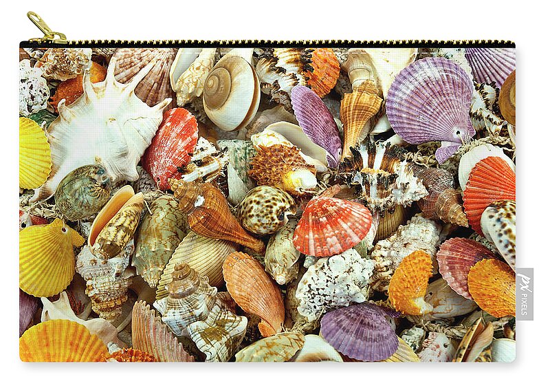 Jigsaw Puzzle Zip Pouch featuring the photograph By the Sea by Carole Gordon