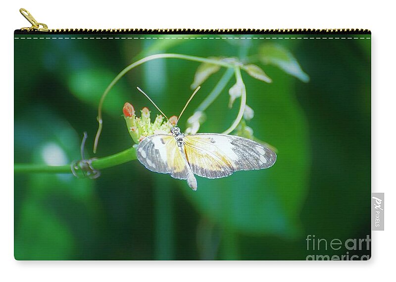 Cleveland Ohio Butterfly Zip Pouch featuring the photograph c4 by Merle Grenz