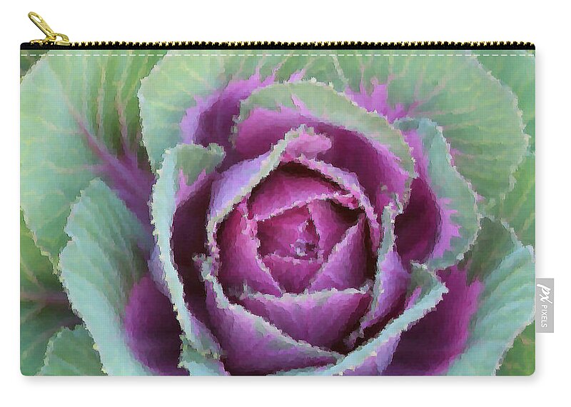 Cabbage Zip Pouch featuring the photograph Cabbage by Kristin Elmquist