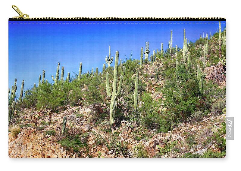 Mount Lemmon Zip Pouch featuring the photograph Cacti on the Rocks by Chris Smith
