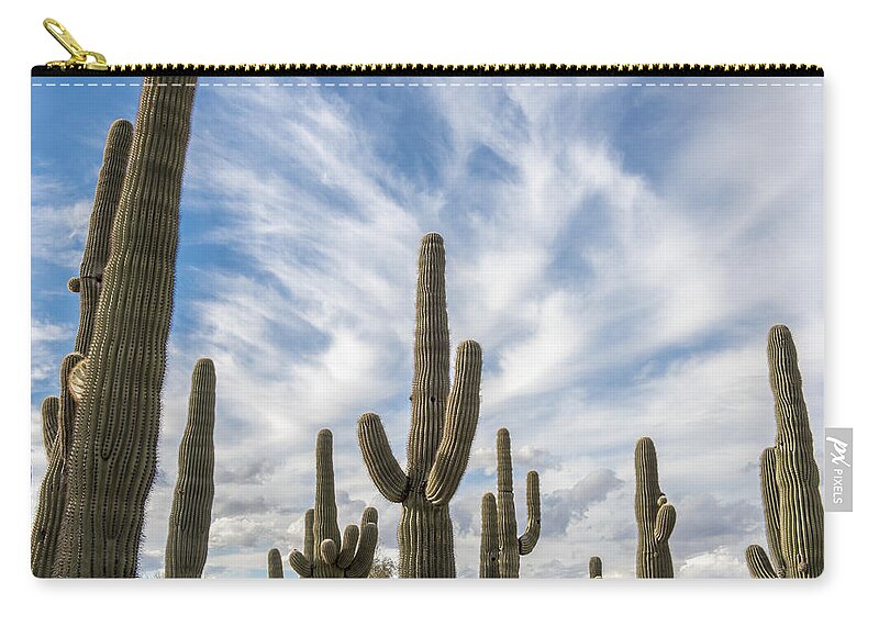 Desert Cactus Zip Pouch featuring the photograph Cactus Choir by Jon Berghoff