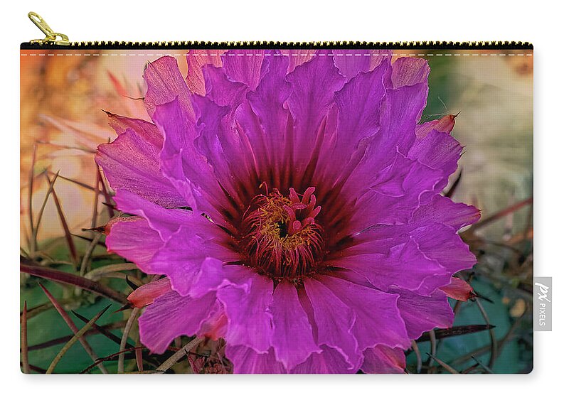 Cactus Flower Zip Pouch featuring the photograph Cactus Flower h1805 by Mark Myhaver
