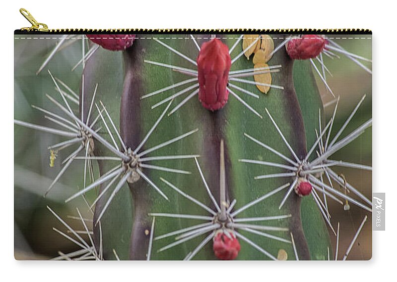 Cactus Zip Pouch featuring the photograph Cactus Needles 5930-041118-1 by Tam Ryan