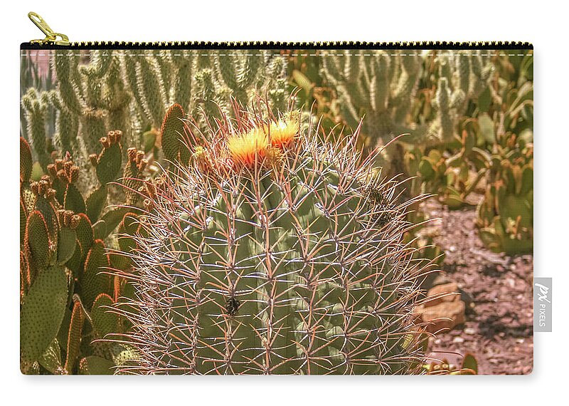 Cactus Carry-all Pouch featuring the photograph Cactus yellowtop by Darrell Foster