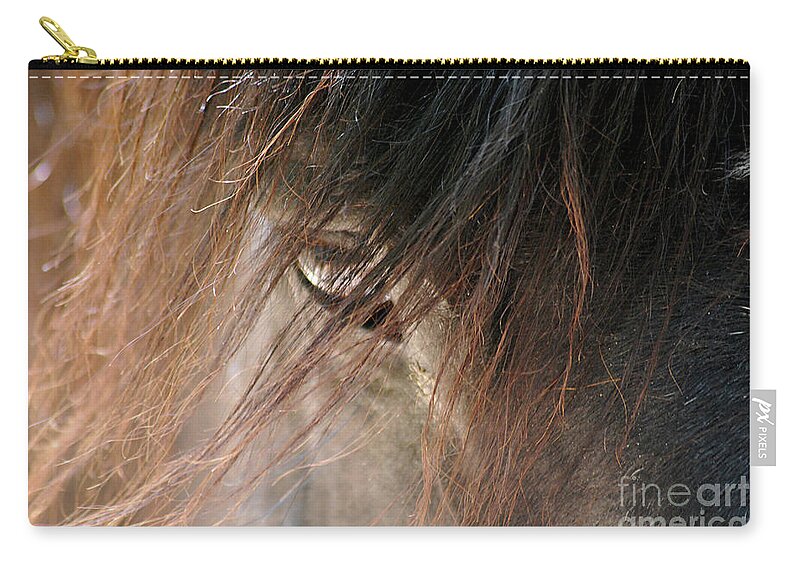 Cades Cove Zip Pouch featuring the photograph Cades Cove Horse 20160525_249 by Tina Hopkins