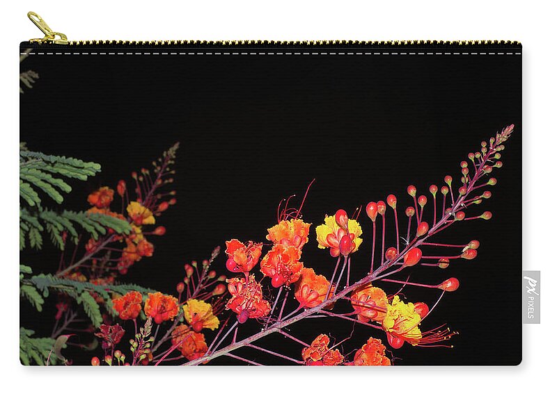 Orcinusfotograffy Zip Pouch featuring the photograph Caesalpinia pulcherrima by Kimo Fernandez