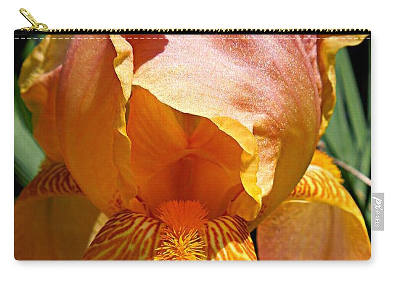 Iris Zip Pouch featuring the photograph Cajun Sunset by Renee Trenholm