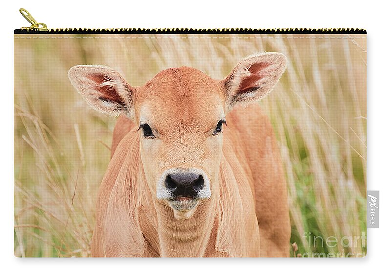 Calf Zip Pouch featuring the photograph Calf in the high grass by Nick Biemans