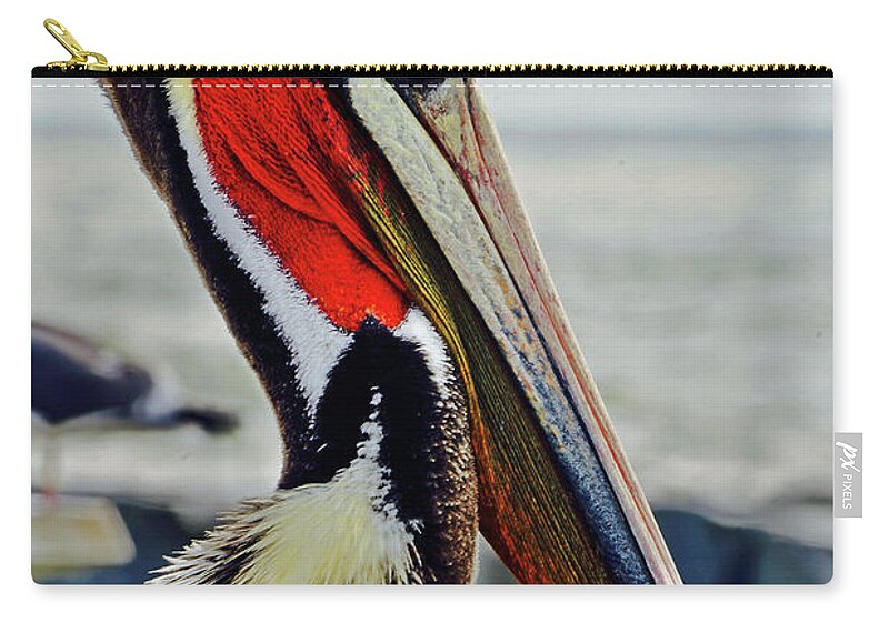 Bird Zip Pouch featuring the photograph California Brown Pelican by Michael Cinnamond