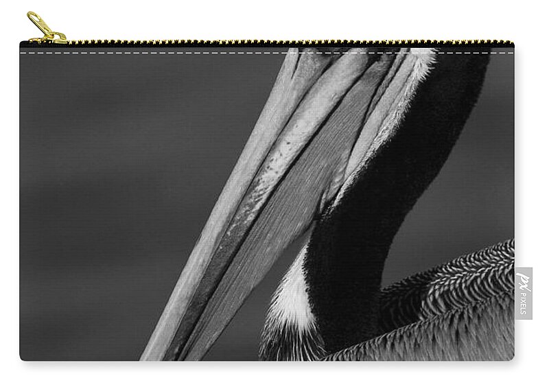 California Zip Pouch featuring the photograph California Brown Pelican Portrait black and white monochrome by Ram Vasudev