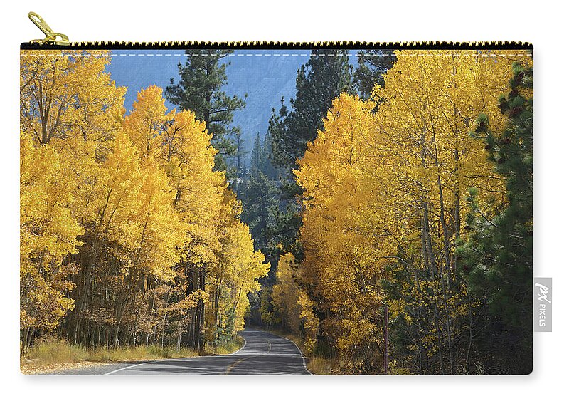 Autumn Zip Pouch featuring the photograph California Gold by Brian Tada