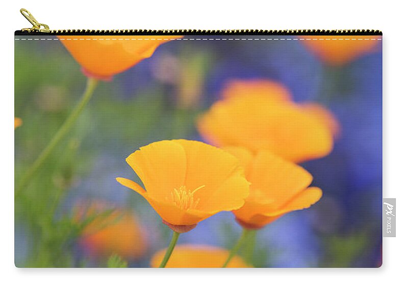 Eschscholzia Californica Zip Pouch featuring the photograph California Poppy Flowers by Tim Gainey