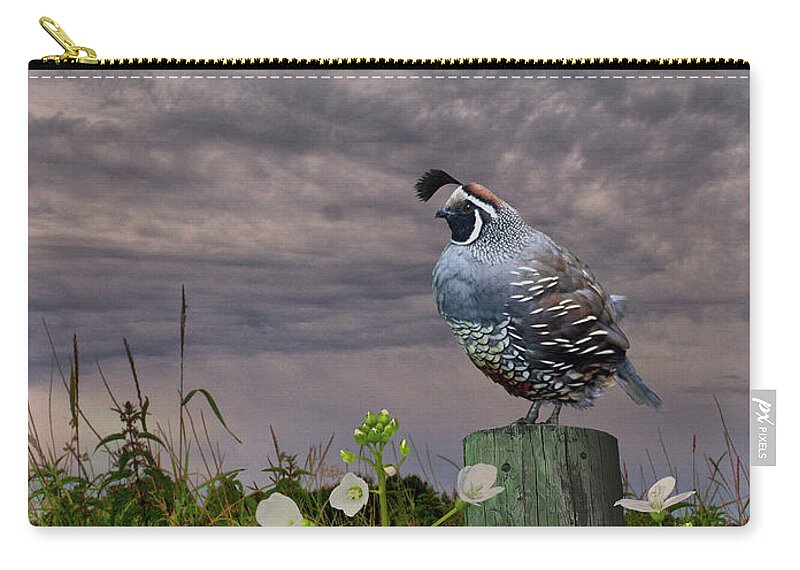 Bird Zip Pouch featuring the digital art California Quail and Milkmaids by M Spadecaller