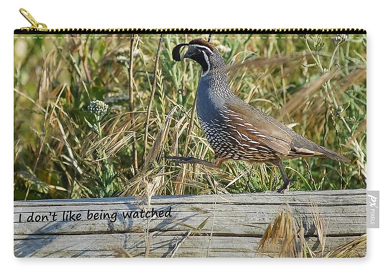  Zip Pouch featuring the photograph California Quail says I Dont Like Being Watched by Sherry Clark