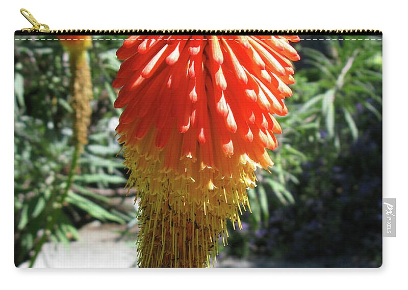Cactus Zip Pouch featuring the photograph Californian summer beauty by Mini Arora