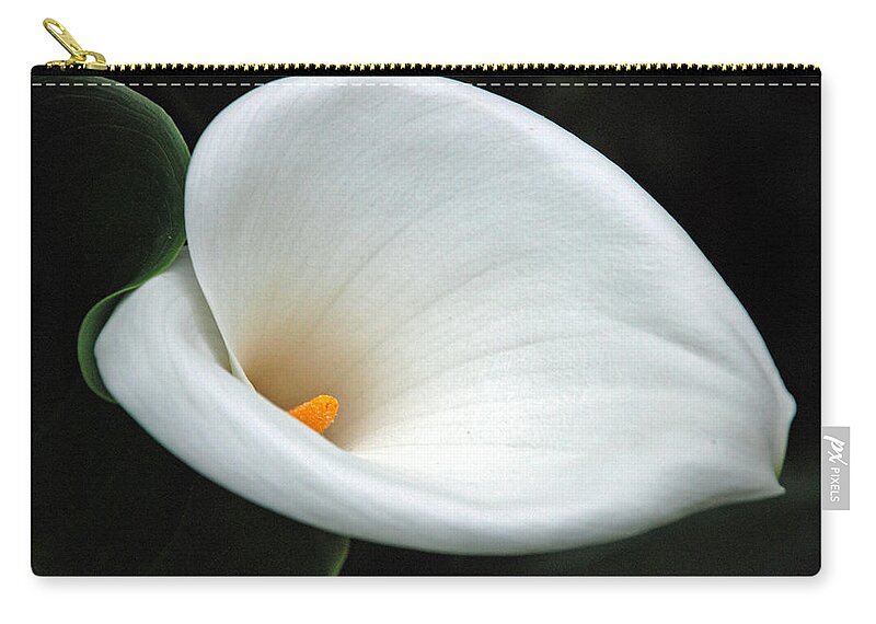 Calla Lilly Zip Pouch featuring the photograph Calla Lilly by Carol Eliassen