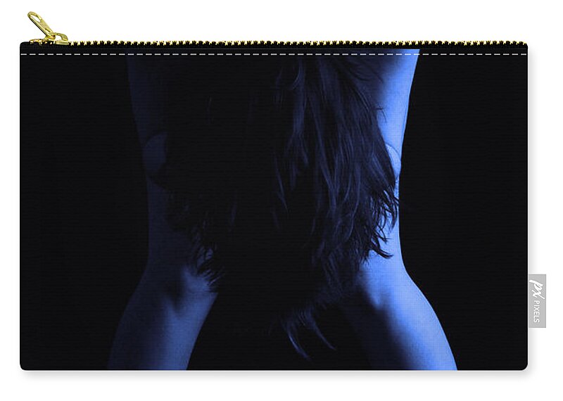 Artistic Photographs Carry-all Pouch featuring the photograph Cameleon by Robert WK Clark