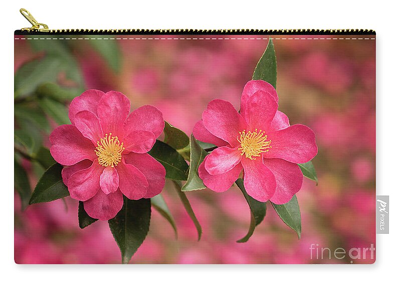 Flower Zip Pouch featuring the photograph Camellias by Mimi Ditchie