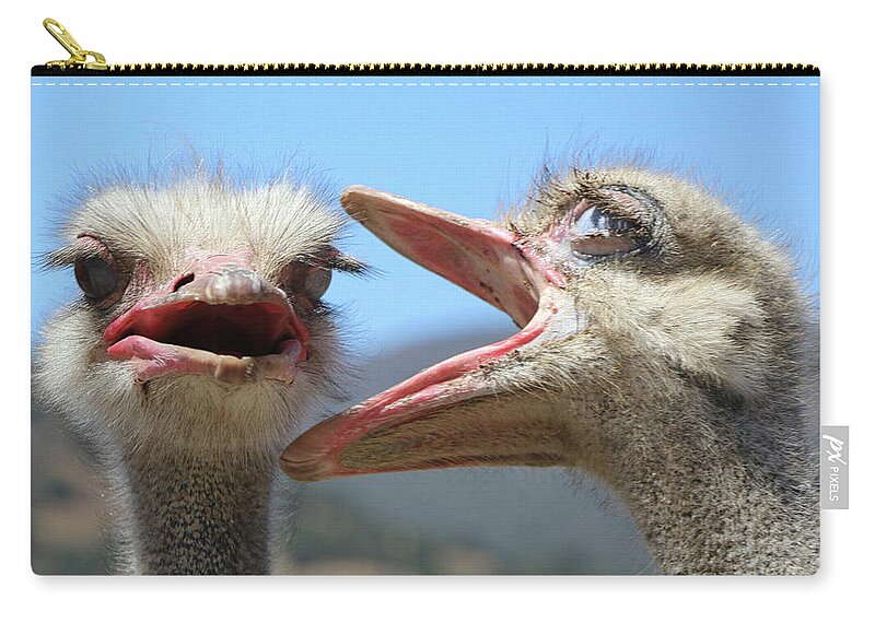 Ostrichland; Solvang; California; Ostrich; Wildlife; Nature Outdoors; Summer; Heat; Talkative; Didesigns; Di Designs Graphics; Diana L Elliott; Photographer; Artist; Brooklyn; New York City; New York; Usa Zip Pouch featuring the photograph Can Ya Hear Me NOW? by DiDesigns Graphics