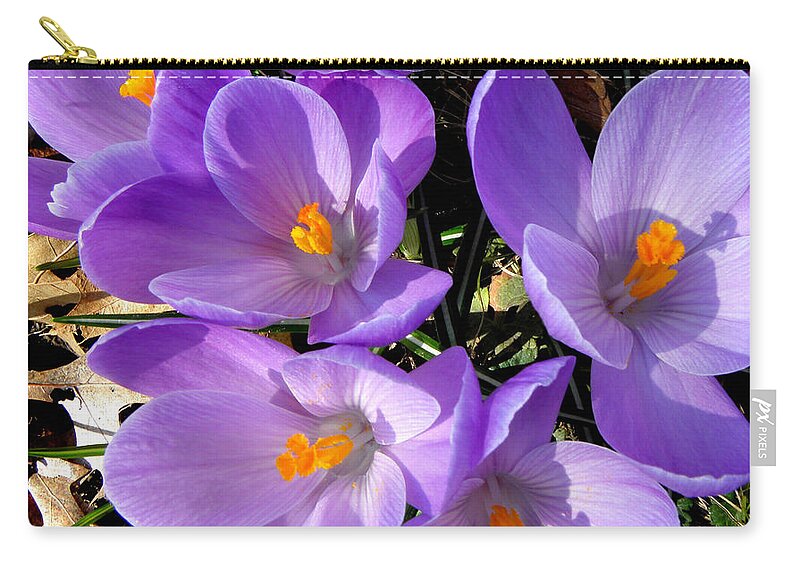 Spring Carry-all Pouch featuring the photograph Can you say PURPLE by Kim Galluzzo Wozniak