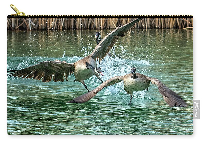 Canada Zip Pouch featuring the photograph Canada Geese Chase 4906 by Tam Ryan