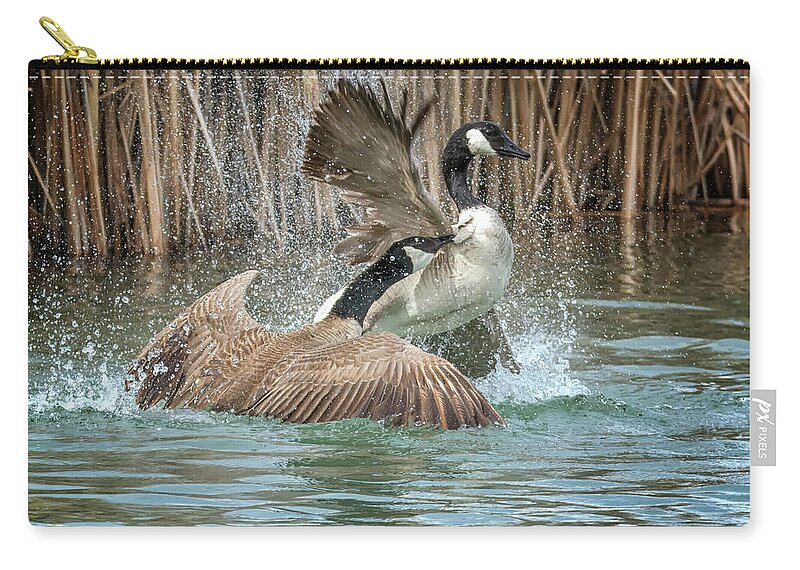 Canada Zip Pouch featuring the photograph Canada Geese Chase 5031 by Tam Ryan
