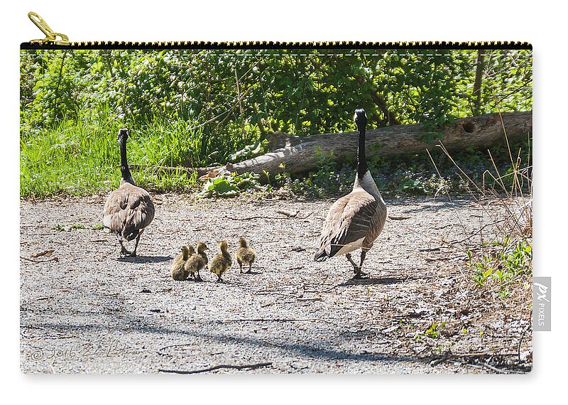 Heron Heaven Zip Pouch featuring the photograph Canada Geese Family Walk by Ed Peterson