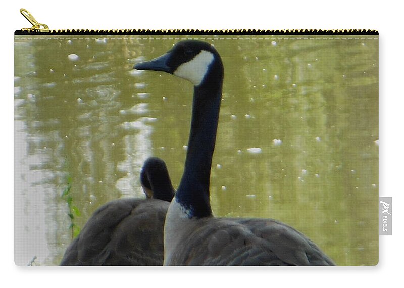 Canada Goose Zip Pouch featuring the photograph Canada Goose Edge of Pond by Rockin Docks Deluxephotos