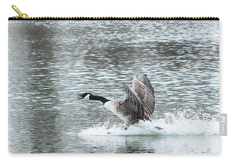 Heron Heaven Zip Pouch featuring the photograph Canada Goose Landing 2 by Ed Peterson