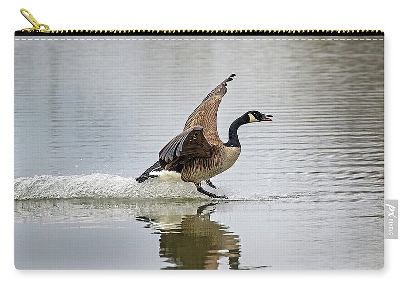 Canada Goose Zip Pouch featuring the photograph Canada Goose Landing by Inge Riis McDonald