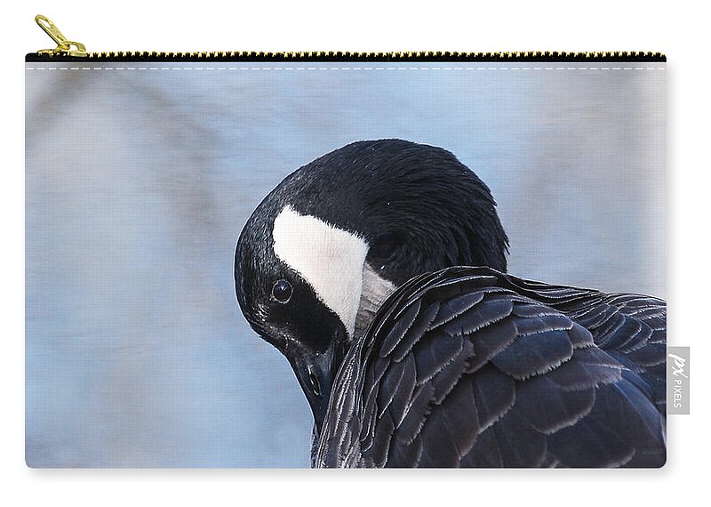 Heron Heaven Zip Pouch featuring the photograph Canada Goose Preening 2 by Ed Peterson