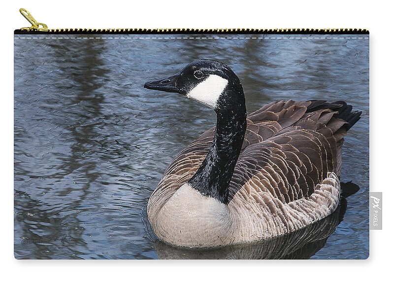 Heron Heaven Zip Pouch featuring the photograph Canada Goose Swiming by Ed Peterson