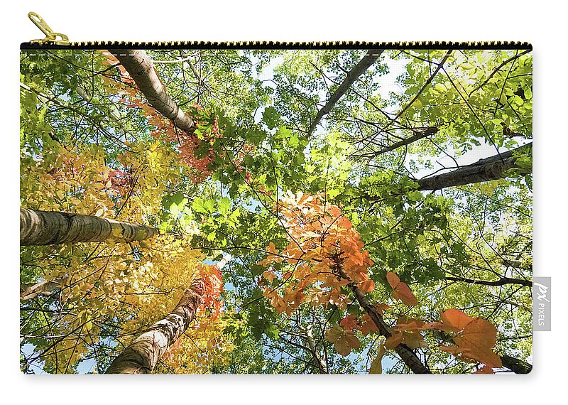 Canada Zip Pouch featuring the photograph Canadian Foliage by Nick Mares
