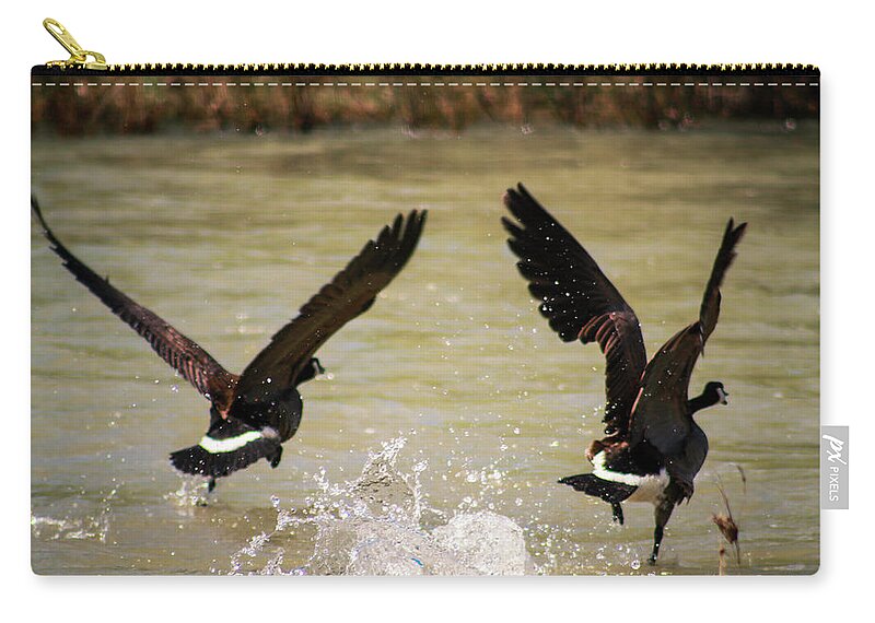 Canadian Geese Zip Pouch featuring the photograph Canadian Geese by Dr Janine Williams
