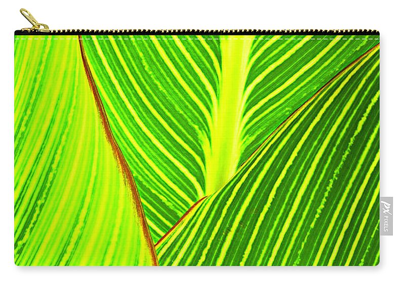 Canna Leaves Zip Pouch featuring the photograph Canna Leaves by Patty Colabuono
