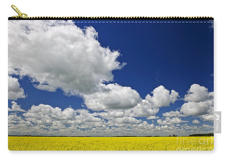 Canola Zip Pouch featuring the photograph Canola field by Elena Elisseeva