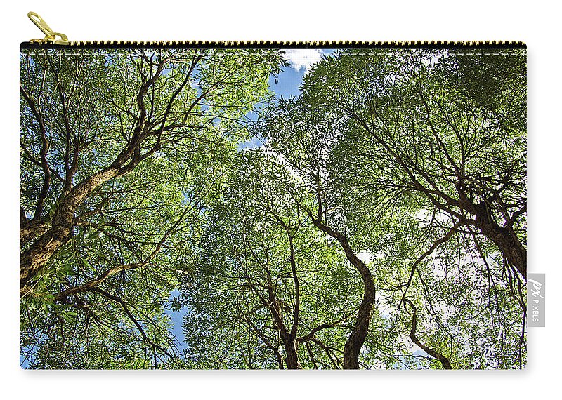 Salix Fragilis 'bullata' Zip Pouch featuring the photograph Canopy by Jarmo Honkanen